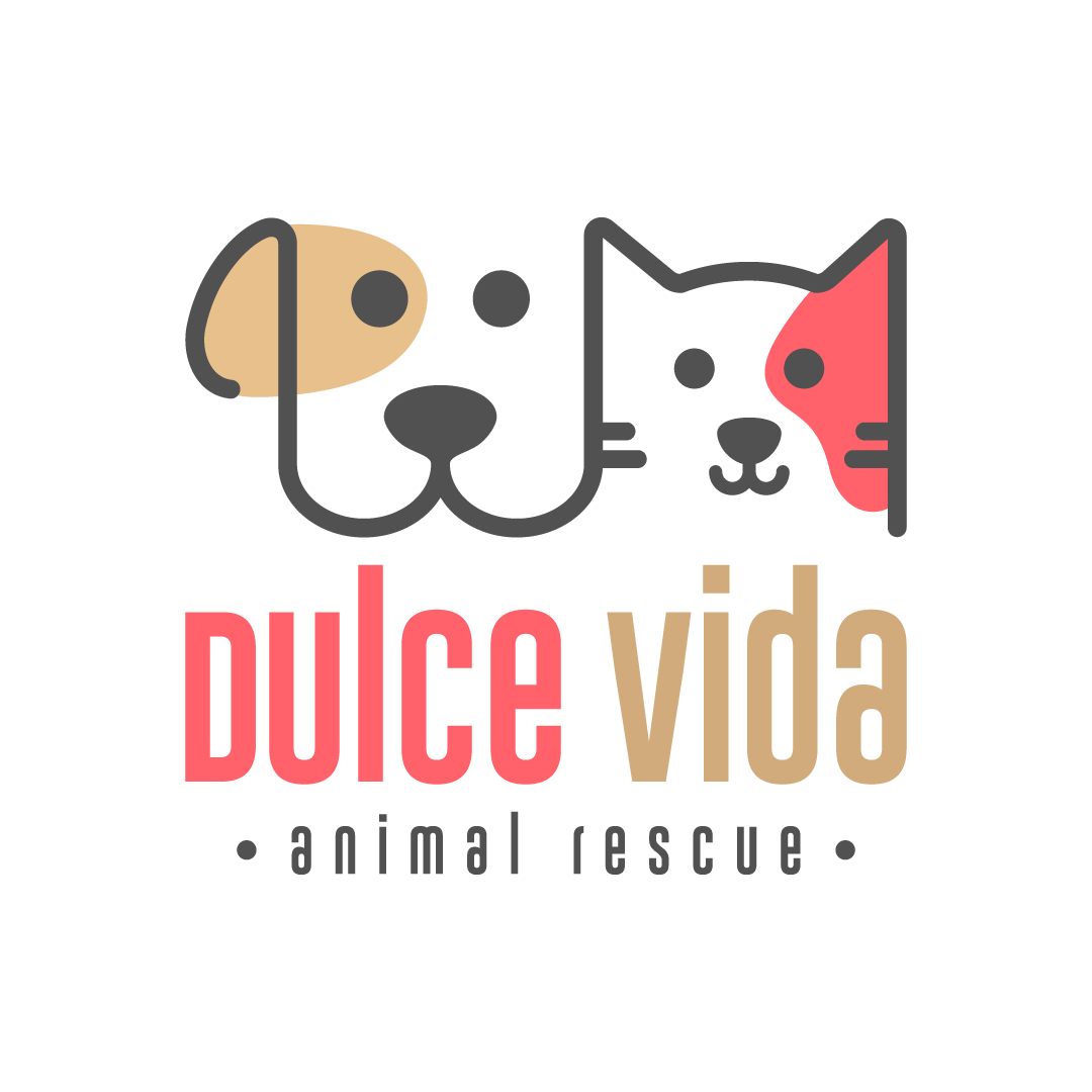 Dulce-Vida-Rescue